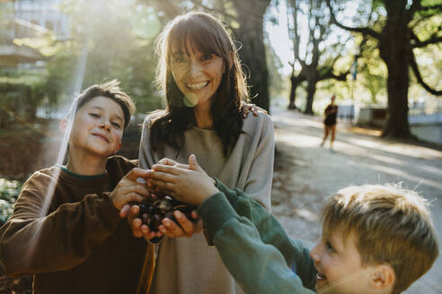 Smiling mother and sons collecting chestnuts while standing in public park - MFF06428