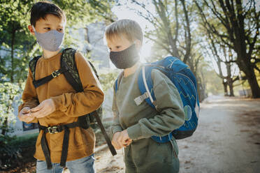 Brothers wearing protective face mask while walking in public park on sunny day - MFF06437