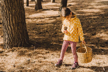 Nettes Mädchen, das einen Tannenzapfen betrachtet und einen Weidenkorb im Park an einem sonnigen Tag trägt - ERRF04605