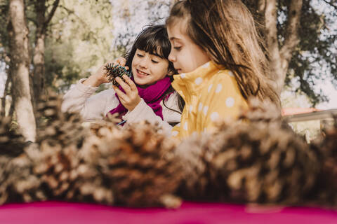 Smiling cute sisters coloring pine cone at picnic table in park stock photo