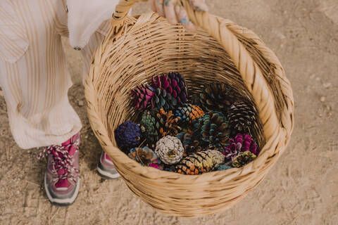 Girl collecting colorful pine cones in wicker basket at park stock photo