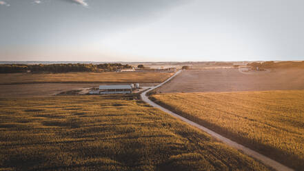 Aerial view of road amidst corns against sky during sunset - ACPF00828