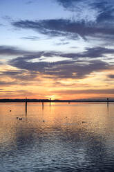 Bodensee bei stimmungsvollem Sonnenaufgang - ELF02280