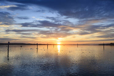 Lake Constance at moody sunrise - ELF02281