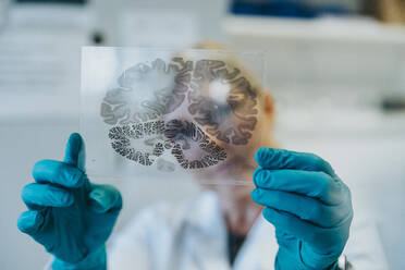 Scientist holding human brain microscope slide while standing at laboratory - MFF06456