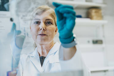 Eine Wissenschaftlerin hält einen Objektträger mit menschlichem Gehirn in der Hand, während sie im Labor steht - MFF06457