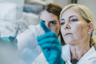 Scientist and assistant discussing while examining human brain microscope slide at laboratory - MFF06458