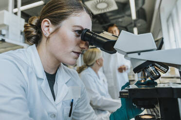 Assistentin analysiert Objektträger mit menschlichem Gehirn, während sie mit einem Wissenschaftler im Hintergrund im Labor sitzt - MFF06491