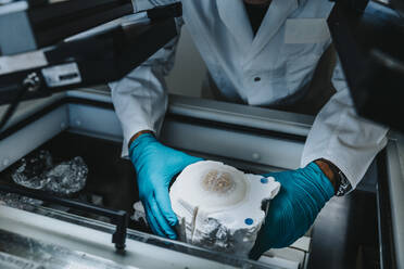 Scientist removing preserved human brain from freezer while standing by freezer at laboratory - MFF06520