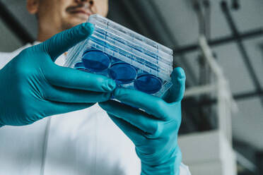 Scientist holding petri dish tray while standing at laboratory - MFF06597