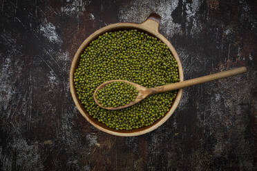 Bowl of fresh mung beans (Vigna radiata) - LVF09044