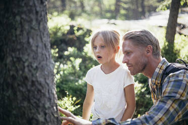 Vater und Tochter betrachten einen Baumstamm im Wald - MASF20177