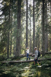 Seitenansicht der Tochter, die mit ihrem Vater im Wald über einen umgestürzten Baum läuft - MASF20182