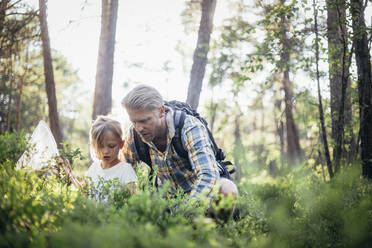 Vater und Tochter sammeln Müll im Wald - MASF20230