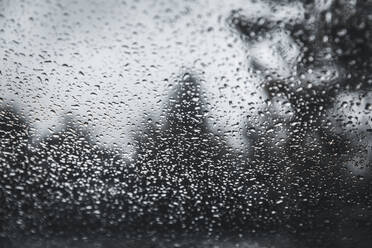 Glass covered in raindrops - ACPF00840