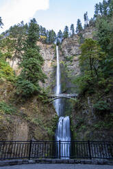 Multnomah Falls, der höchste Wasserfall im Staat Oregon mit einer Höhe von 620 Fuß, Columbia River Gorge, Oregon, Vereinigte Staaten von Amerika, Nordamerika - RHPLF17768