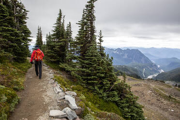 Ansichten vom Skyline Trail des Mount Rainier National Park, Washington State, Vereinigte Staaten von Amerika, Nordamerika - RHPLF17775