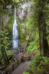 Wasserfall auf dem Marymere Falls Trail, Quinault Rain Forest, Olympic National Park, UNESCO-Weltkulturerbe, Bundesstaat Washington, Vereinigte Staaten von Amerika, Nordamerika - RHPLF17780