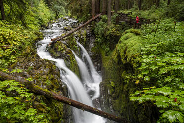 Fotograf auf dem Sol Duc Falls Trail, Sol Duc Valley, Olympic National Park, UNESCO-Weltkulturerbe, Staat Washington, Vereinigte Staaten von Amerika, Nordamerika - RHPLF17781