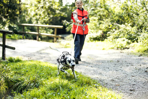 Female instructor mantrailing Dalmatian dog at park - MAEF13039