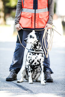 Female instructor standing with Dalmatian dog on footpath during mantrailing at park - MAEF13040