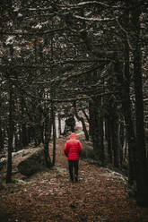 Young man standing in forest during winter - ACPF00852