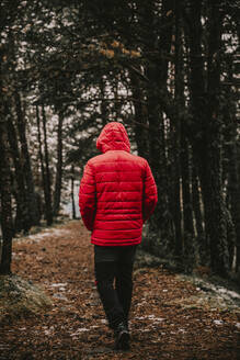 Junger Mann in warmer Kleidung, der im Winter im Wald spazieren geht - ACPF00853