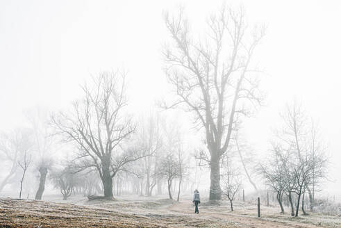 Entfernte, nicht erkennbare Frau in Oberbekleidung, die allein durch einen nebligen, blattlosen Wald mit Frostgras an einem kalten Wintertag auf dem Land in Bellver de Cerdaña, Katalonien, spaziert - ADSF17021
