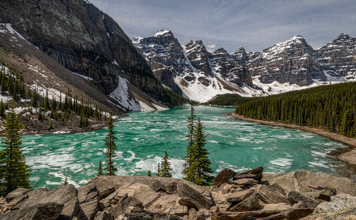 Majestic scenery of frozen Moraine Lake surrounded by green