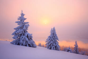 Malerische Winterlandschaft eines verschneiten Tals mit Nadelwäldern bei Sonnenuntergang - ADSF17055