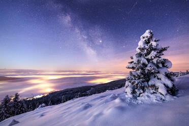 Glühende Nordlichter und Milchstraße am Nachthimmel über einem Gebirge mit schneebedeckten Nadelbäumen im Winter - ADSF17060