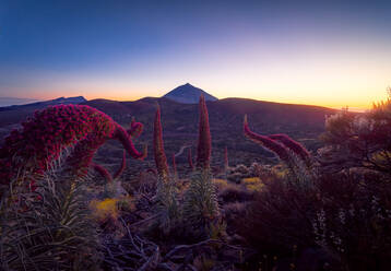 Atemberaubender Blick auf die orangefarbene Sonne, die bei Sonnenaufgang auf Teneriffa üppiges Hochlandgelände beleuchtet - ADSF17114