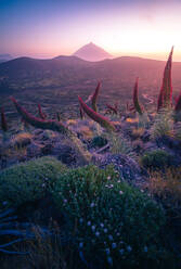 Atemberaubender Blick auf die orangefarbene Sonne, die bei Sonnenaufgang auf Teneriffa üppiges Hochlandgelände beleuchtet - ADSF17121