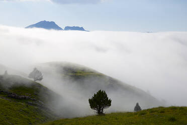 Nebel in Candanchu, Pyrenäen, Canfranc-Tal in Spanien. - CAVF89830