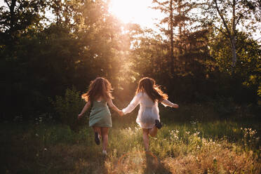 Back view of girlfriends holding hands while running in summer forest - CAVF89835