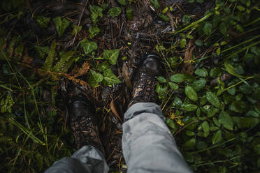 Beine einer Frau, die während der Regenzeit im Wald spazieren geht - DMGF00234