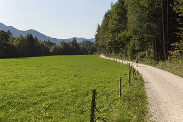 Dirt road stretching along empty pasture in summer - SKF01603