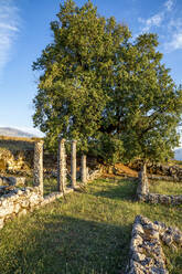 Albanien, Bezirk Gjirokaster, Ruinen der antiken griechischen Stadt Antigonia in der Abenddämmerung - MAMF01362