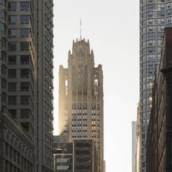 Tribune Tower zusammen mit modernen Gebäuden in der Stadt bei Sonnenaufgang, Chicago, USA - AHF00176