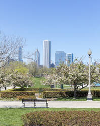 Skyscrapers seen from Grant Park, Chicago, USA - AHF00179