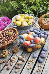 Gartentisch mit Herbsternte von Nüssen und Früchten gefüllt - GWF06767