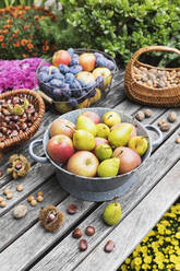 Gartentisch mit Herbsternte von Nüssen und Früchten gefüllt - GWF06769
