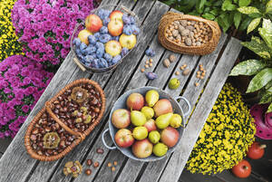 Gartentisch mit Herbsternte von Nüssen und Früchten gefüllt - GWF06770