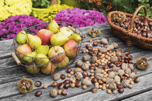 Gartentisch mit Herbsternte von Nüssen und Früchten gefüllt - GWF06773
