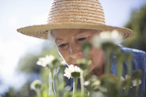 Close up senior woman in straw hat smelling flowers in garden - CAIF29890