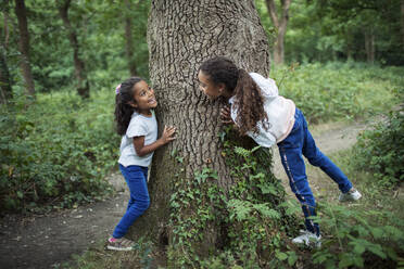 Süße Schwestern spielen am Baumstamm im Wald - CAIF29936