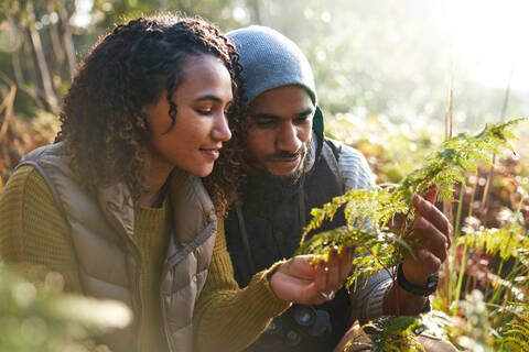 Curious young hiking couple looking at fern in woods stock photo