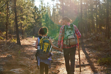 Young couple hiking with backpacks in sunny summer woods - CAIF30008