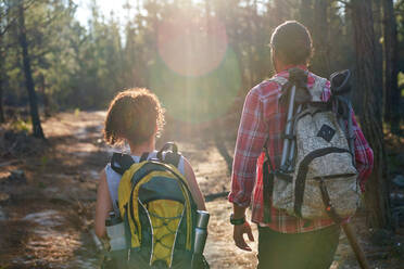 Young couple with backpacks hiking in sunny summer woods - CAIF30014