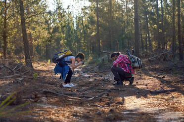 Junges Wanderpaar mit Kamera im Wald - CAIF30024